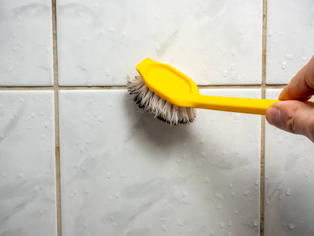Best Attic Mold Removal  in Nett, MO