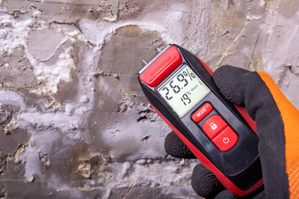 Best Local Mold Removal Service  in Nett, MO