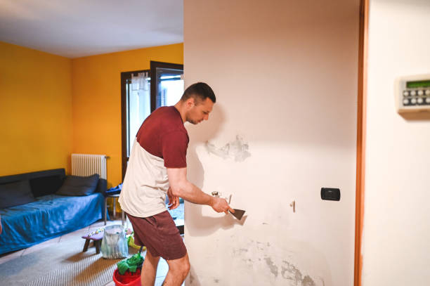 Best Mold Remediation  in Nett, MO
