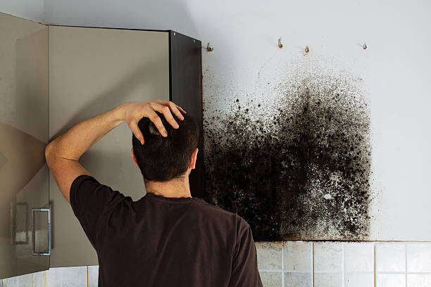 Best Home Mold Removal  in Nett, MO